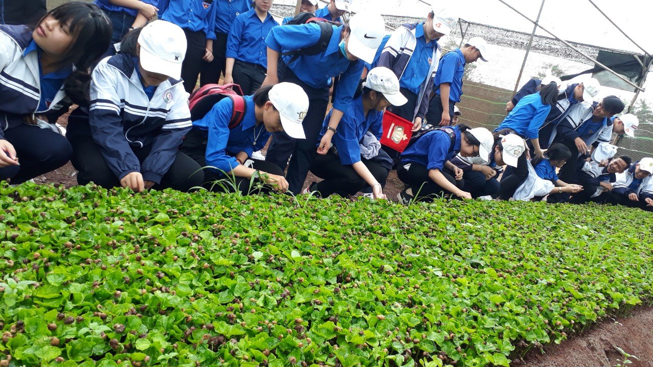 Trường THCS Chu Văn An tổ chức " Chương trình trải nghiệm sáng tạo" năm học 2018 -2019