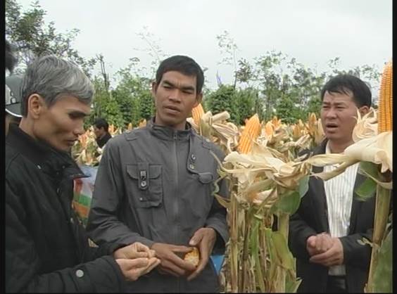Quý I năm 2016 huyện Ea Kar đầu tư gần 3,2 tỷ đồng xây dựng Nông thôn mới