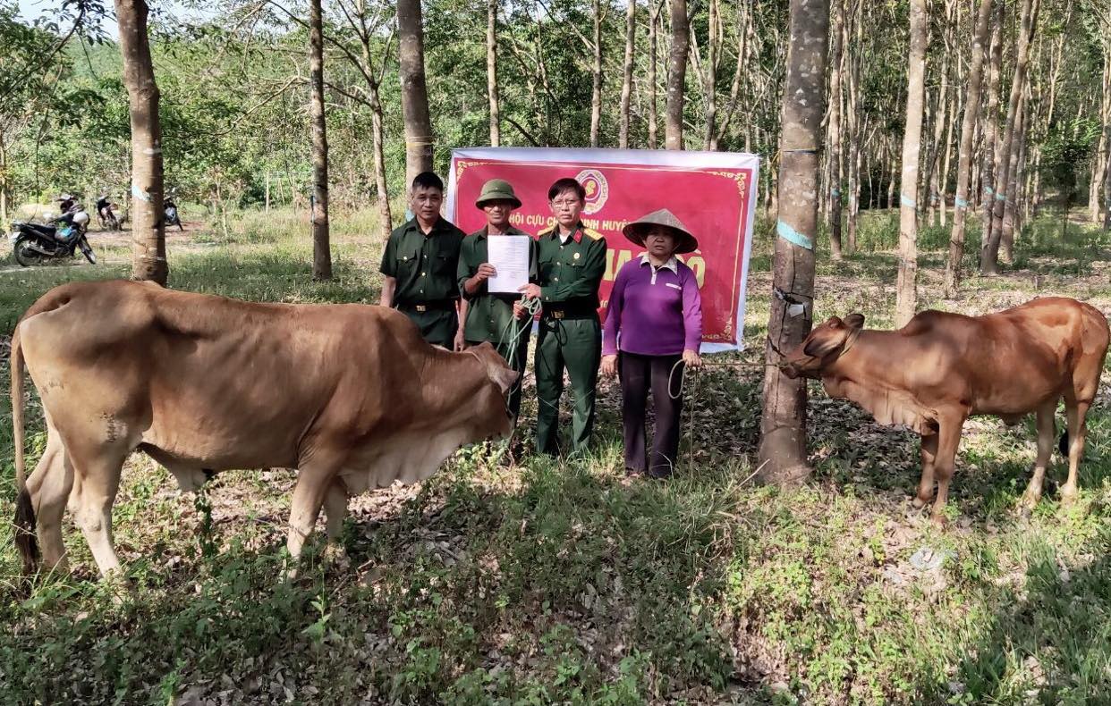Hội Cựu chiến binh huyện Ea Kar tổ chức buổi lễ trao tặng bò giống cho hội viên nghèo có hoàn cảnh khó khăn trên địa bàn huyện 